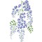 Wisteria Wisp Wall Stencil | 1808 by Designer Stencils | Floral Stencils | Reusable Art Craft Stencils for Painting on Walls, Canvas, Wood | Reusable Plastic Paint Stencil for Home Makeover | Easy to Use & Clean Art Stencil